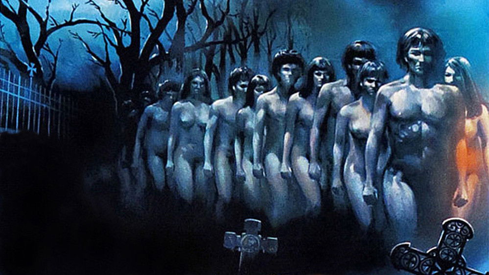 她在天鹅绒坎肩上呵气,La fille à la fourrure(1978电影)