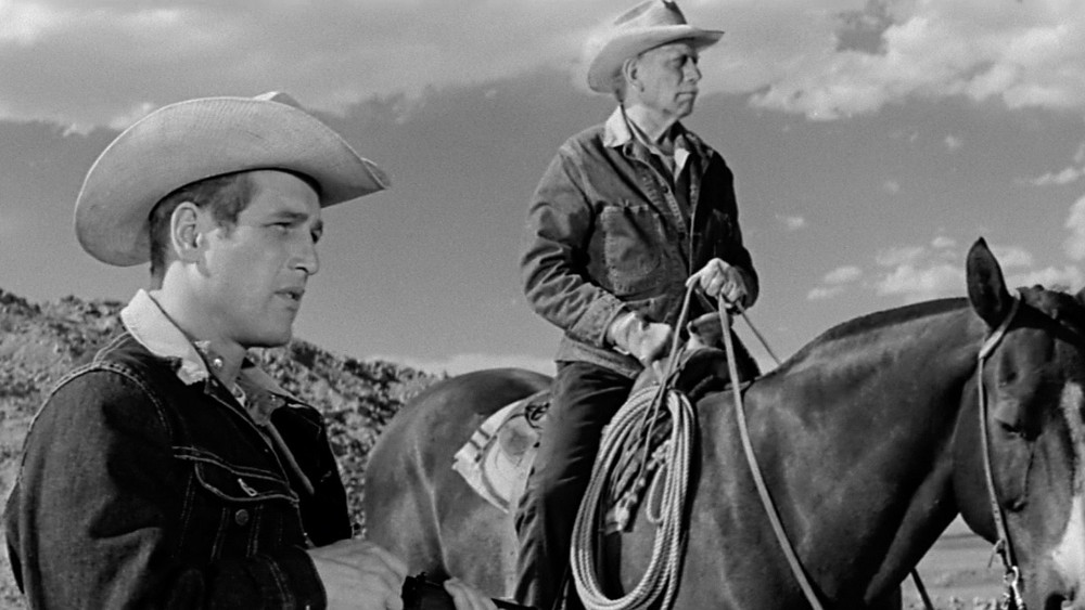 原野铁汉,Hud(1963电影)