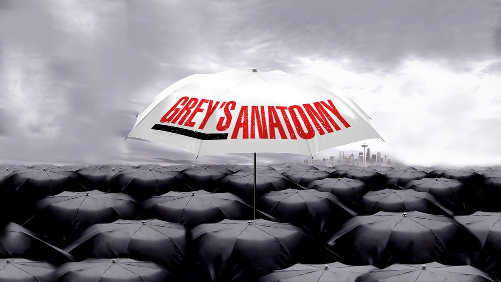 实习医生格蕾,Grey's Anatomy(2005电视剧集)