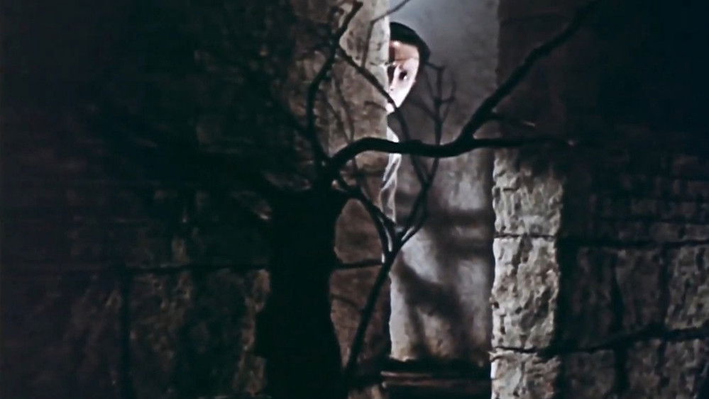 红色娘子军(1961电影)