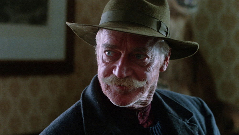 灰狐,The Grey Fox(1982电影)