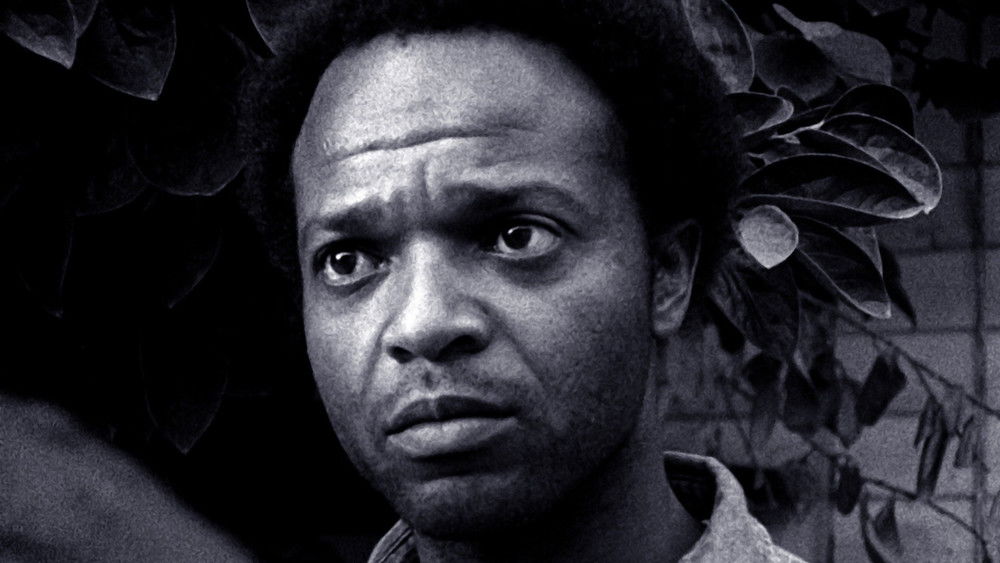 杀羊人,Killer of Sheep(1978电影)