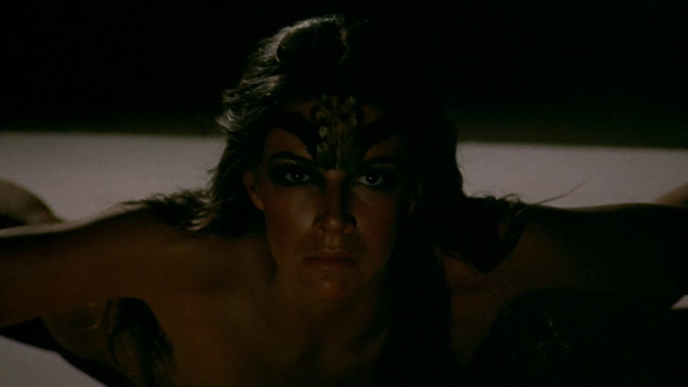 樵夫的死亡,La mort d'un bûcheron(1973电影)