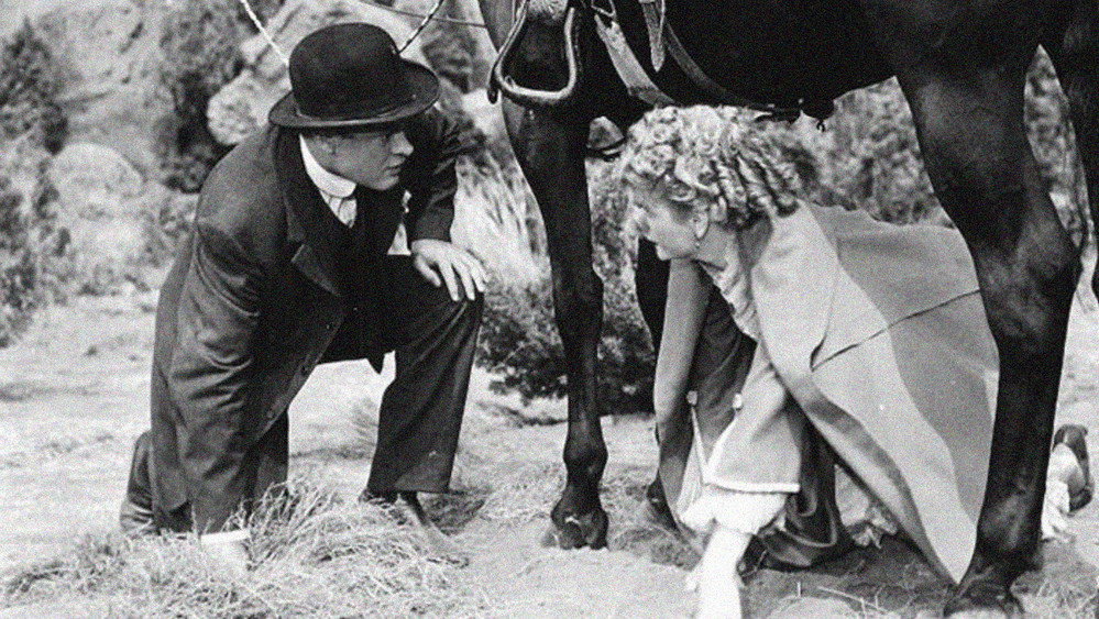 花花公子,Fancy Pants(1950电影)