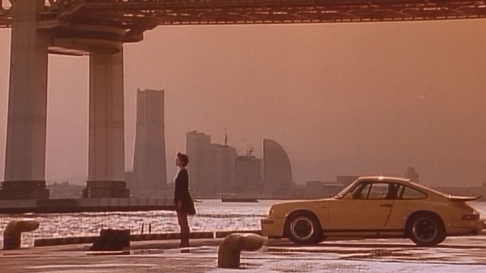 XX：杀人俏娇娃,XX 美しき機能(1996电影)