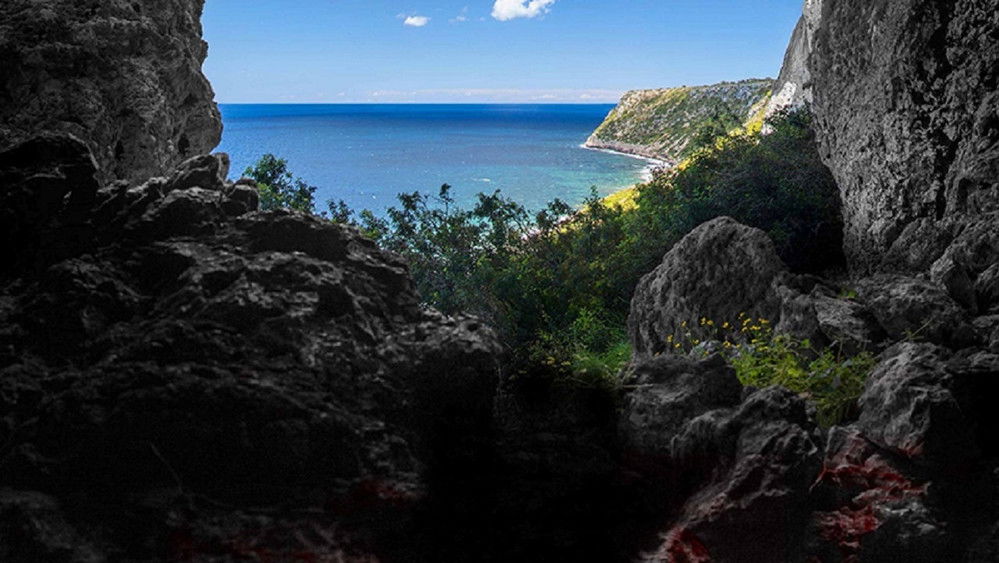 在黑暗中我们堕落,La cueva(2014电影)