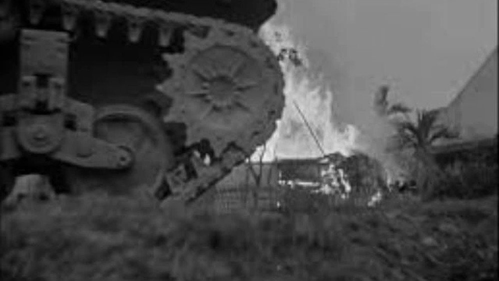 猪年,In the Year of the Pig(1969电影)