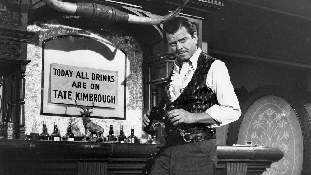 日落镇的决断,Decision at Sundown(1957电影)