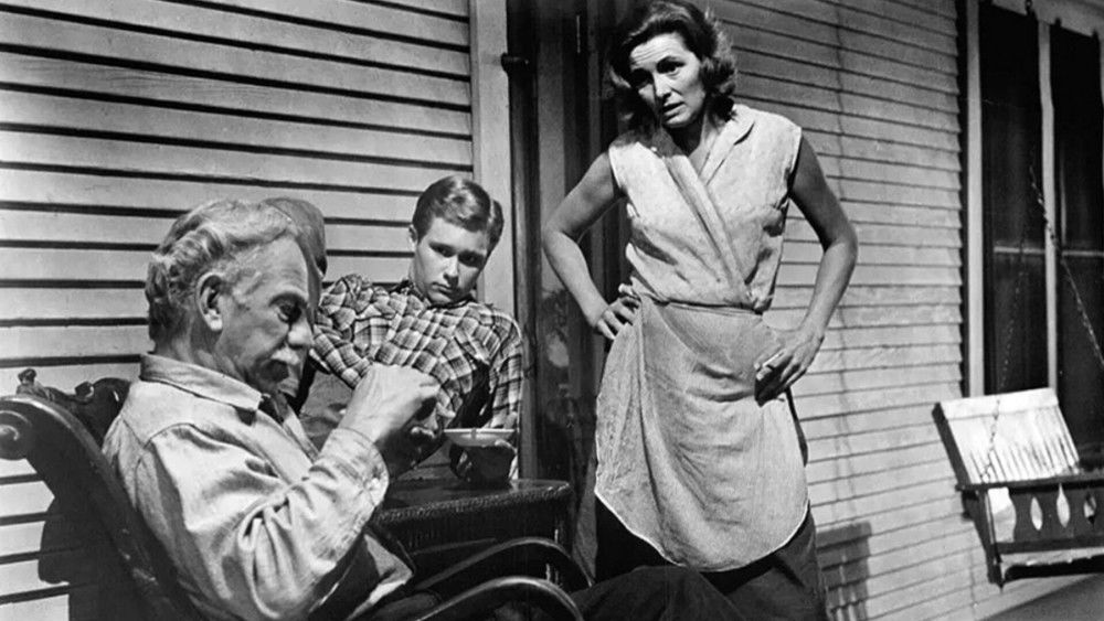 原野铁汉,Hud(1963电影)