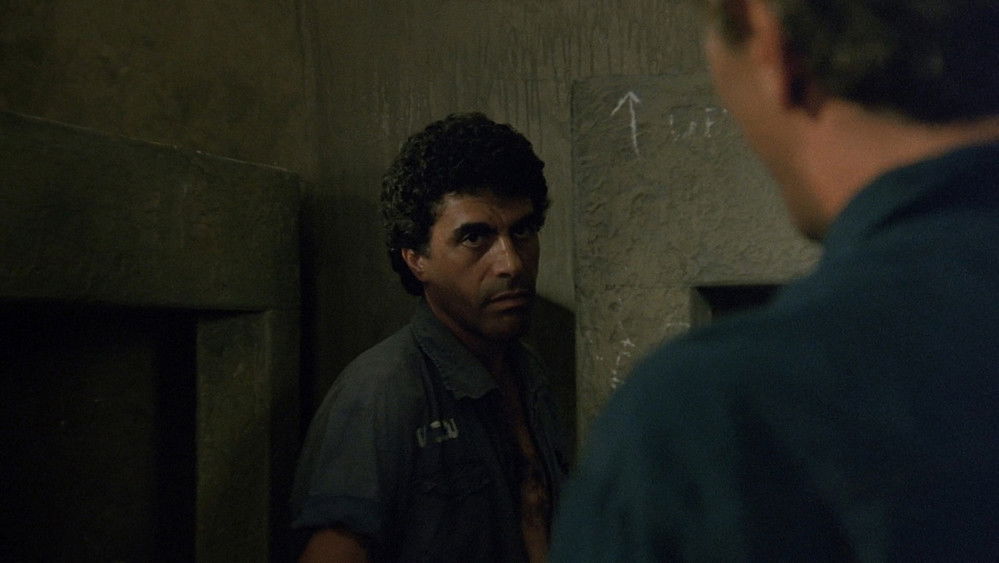 护照,Паспорт(1990电影)