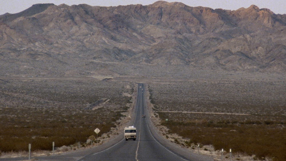 迷失的美国人,Lost in America(1985电影)