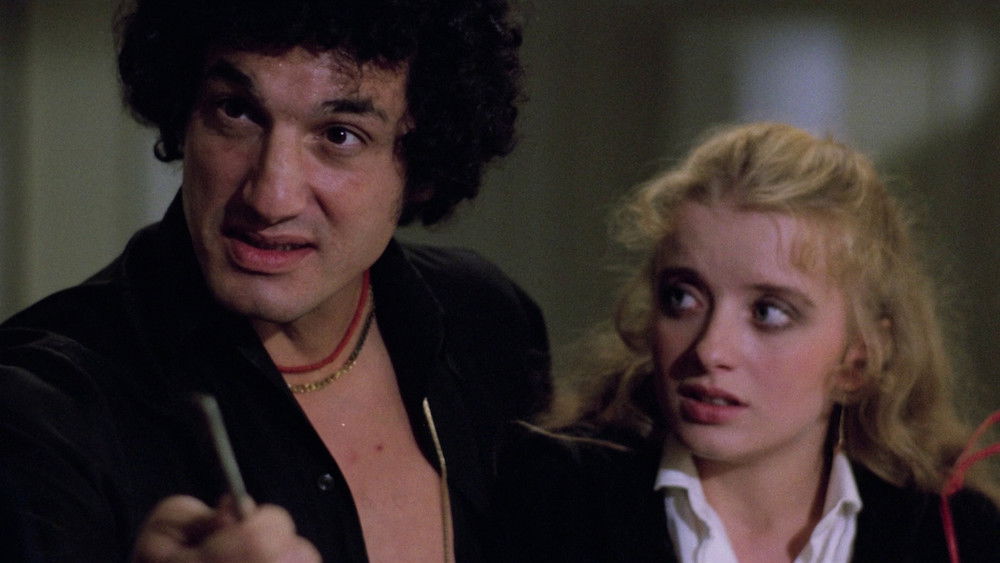 公园旁的凶屋,La casa sperduta nel parco(1980电影)