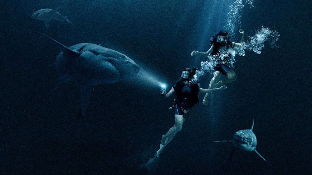 鲨海,47 Meters Down(2017电影)