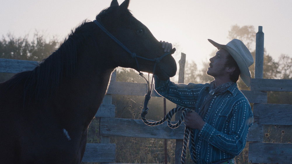 骑士,The Rider(2018电影)