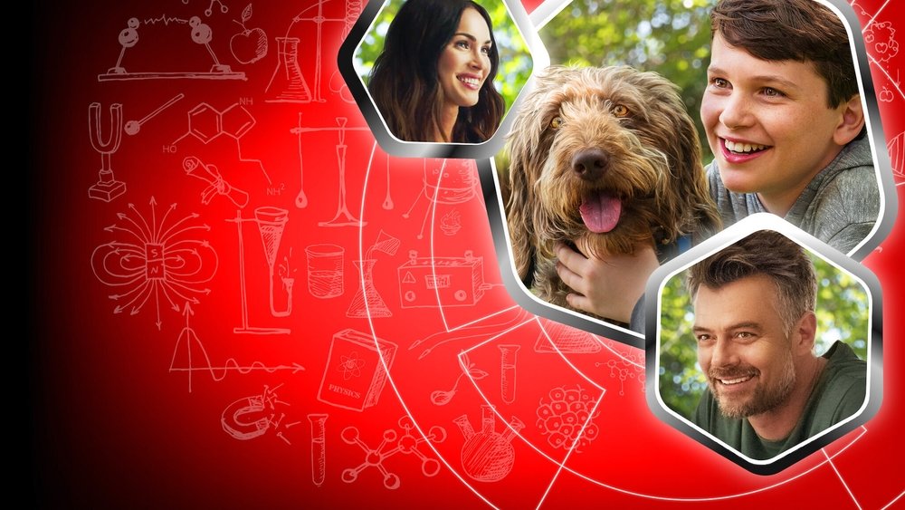 Denke wie ein Hund - Bild: © M Star International / Mad Chance Denke wie ein Hund - © M Star International / Mad Chance