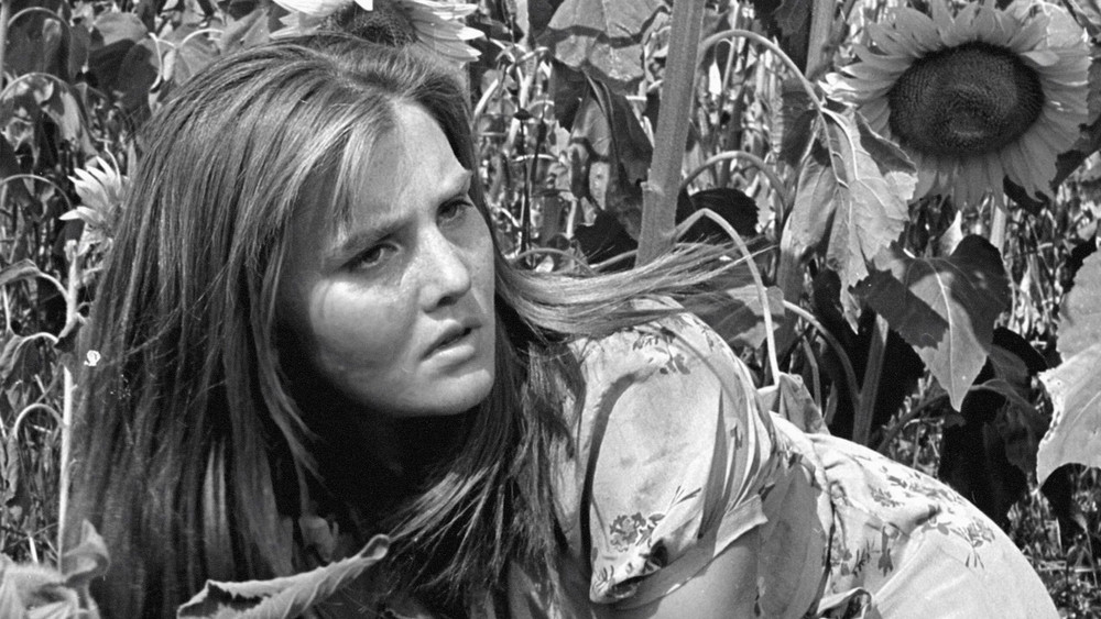 长使英雄泪满襟,Italiani brava gente(1964电影)