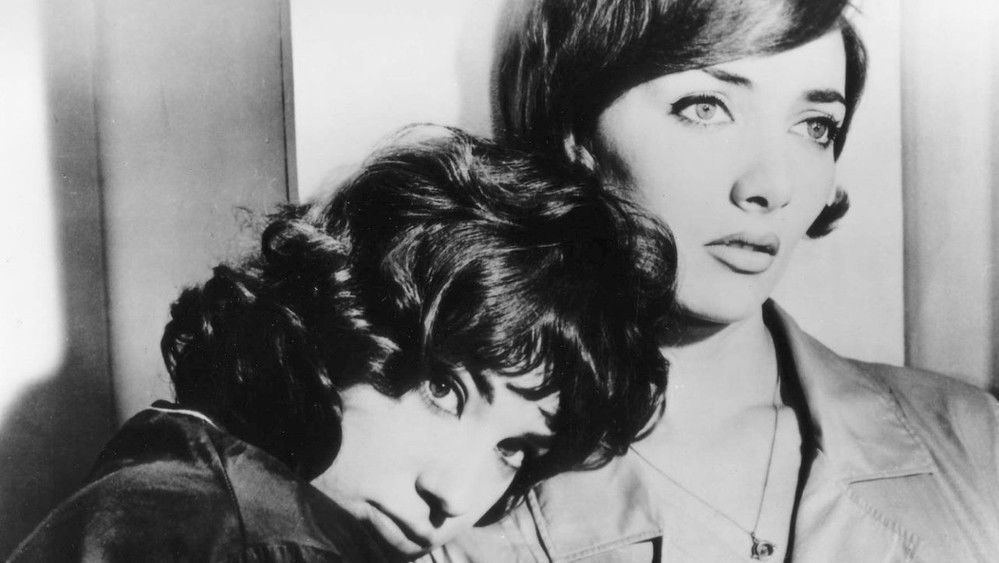 好女人们,Les bonnes femmes(1960电影)