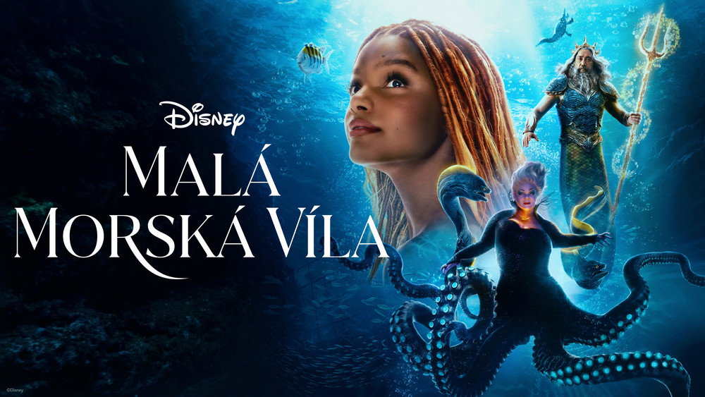 小美人鱼,The Little Mermaid(2023电影)