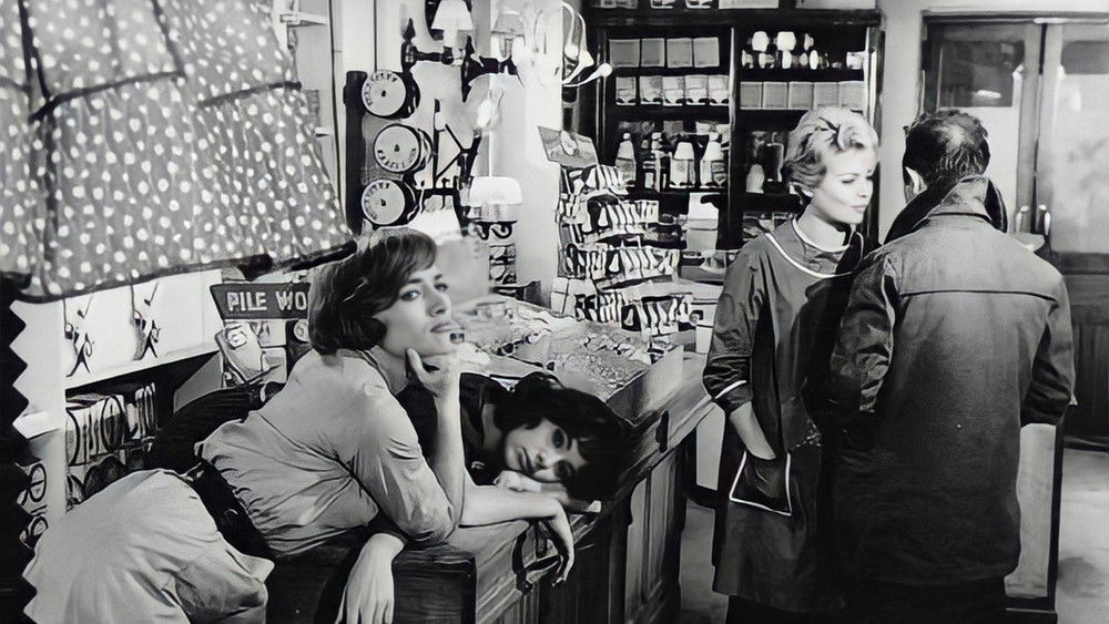 好女人们,Les bonnes femmes(1960电影)