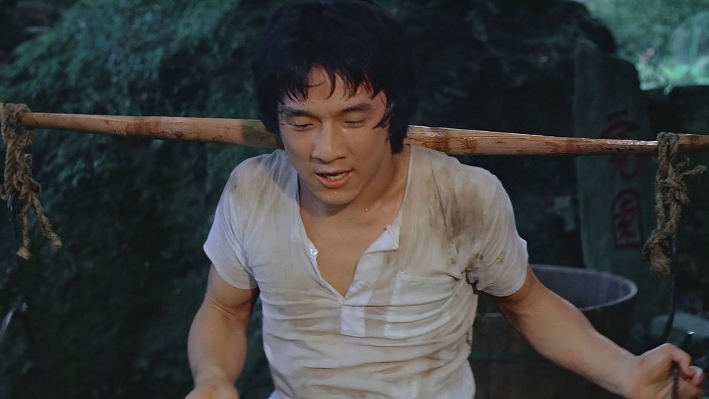 少林木人巷(1976电影)