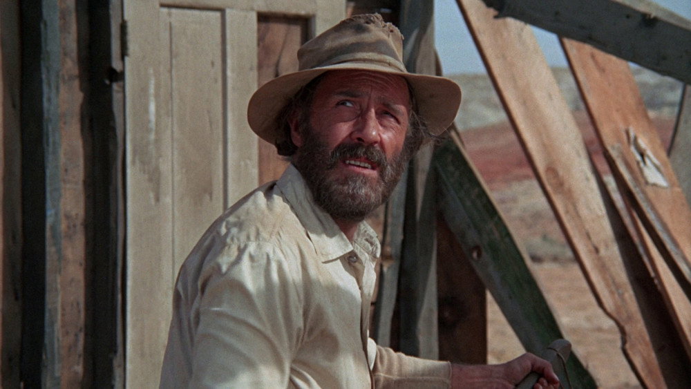 牛郎血泪美人恩,The Ballad of Cable Hogue(1970电影)