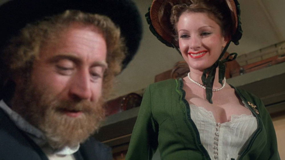 枪手佳人流浪客,The Frisco Kid(1979电影)