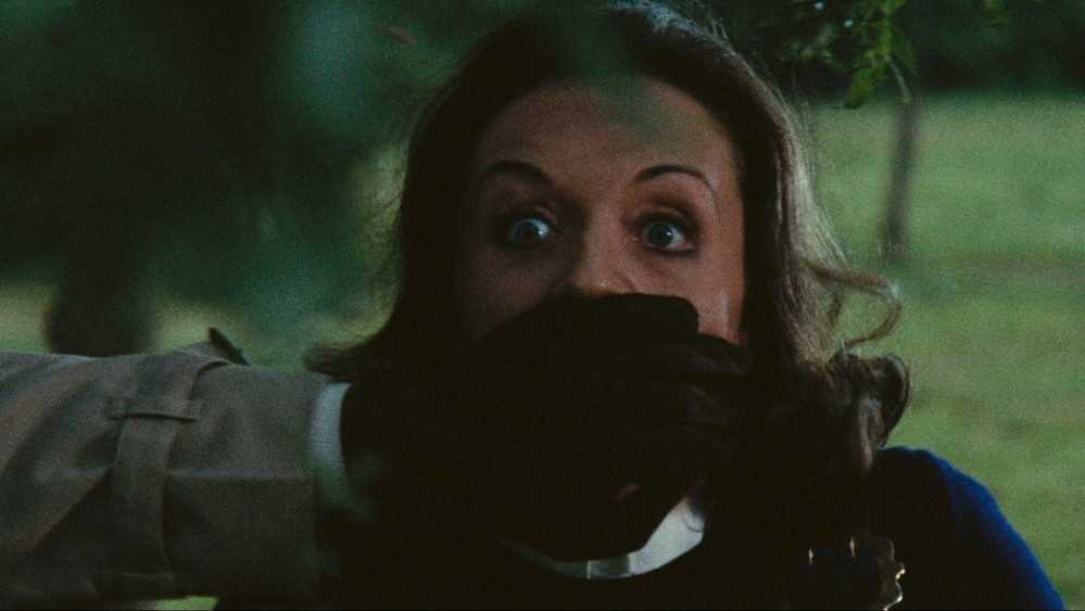 血蝶,Una farfalla con le ali insanguinate(1971电影)