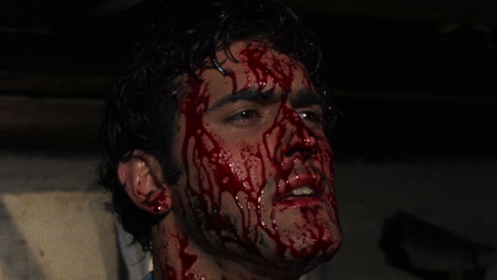 鬼玩人,The Evil Dead(1981电影)