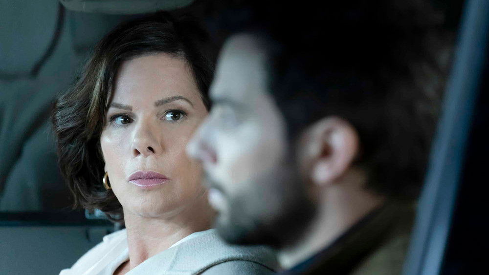 犬子帮帮忙,So Help Me Todd(2022电视剧集)