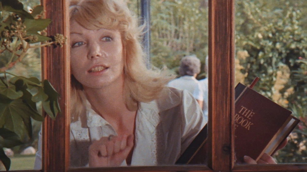 第四位受害者,La última señora Anderson(1971电影)