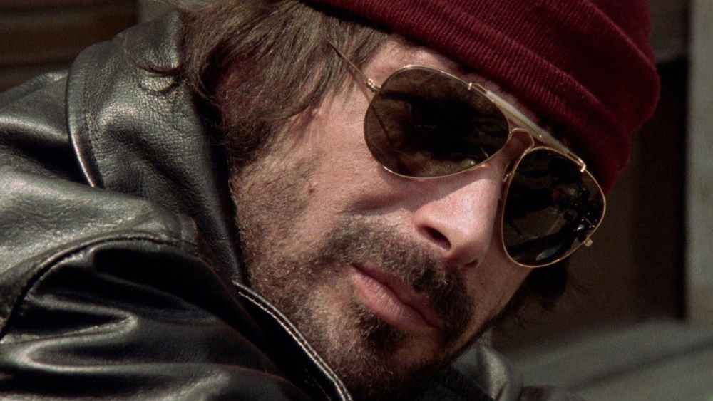 胆包天,Il giustiziere sfida la città(1975电影)