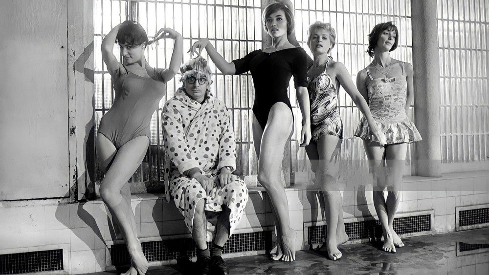 好女人们,Les bonnes femmes(1960电影)