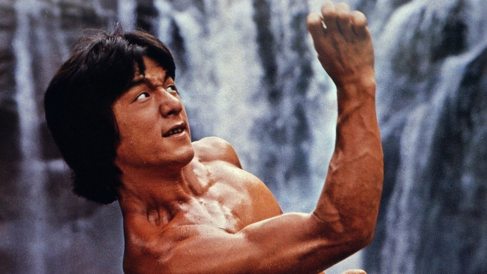 少林木人巷(1976电影)