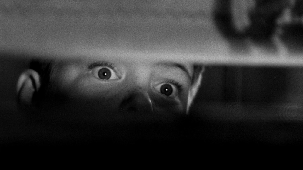 窗,The Window(1949电影)