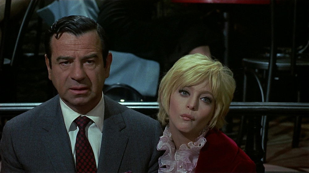 仙人掌花,Cactus Flower(1969电影)