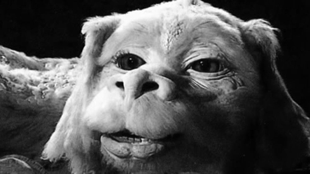 大魔域3：飞进未来,The NeverEnding Story III(1994电影)