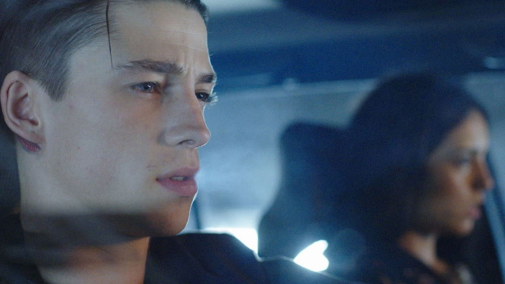 性爱娃娃,Sex Doll(2016电影)