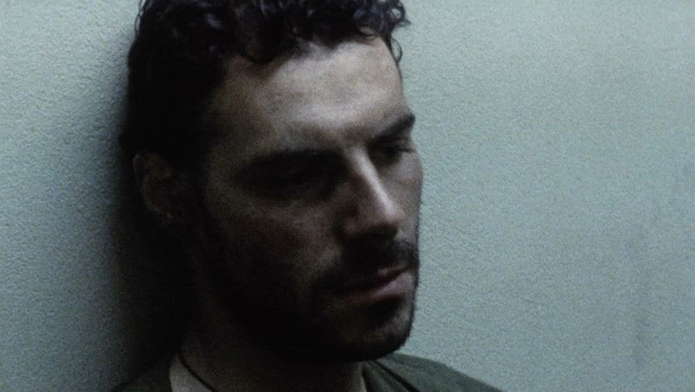 接触,Contact(1985电影)