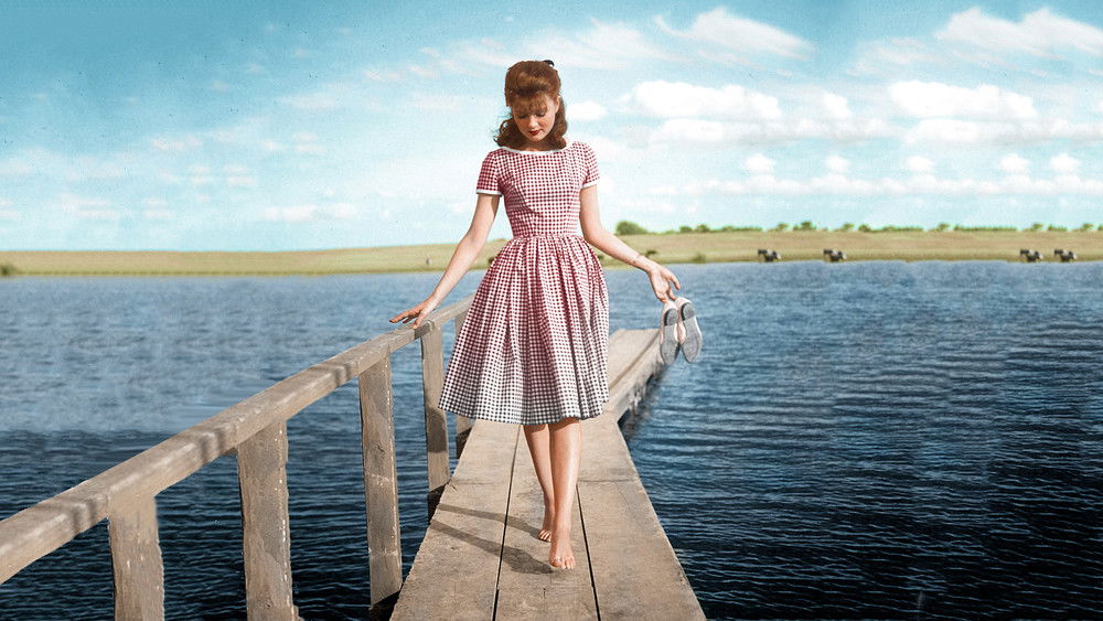 我心已许,State Fair(1962电影)