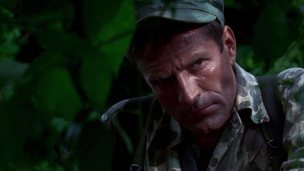 激战伏兵湾,Ambush Bay(1966电影)