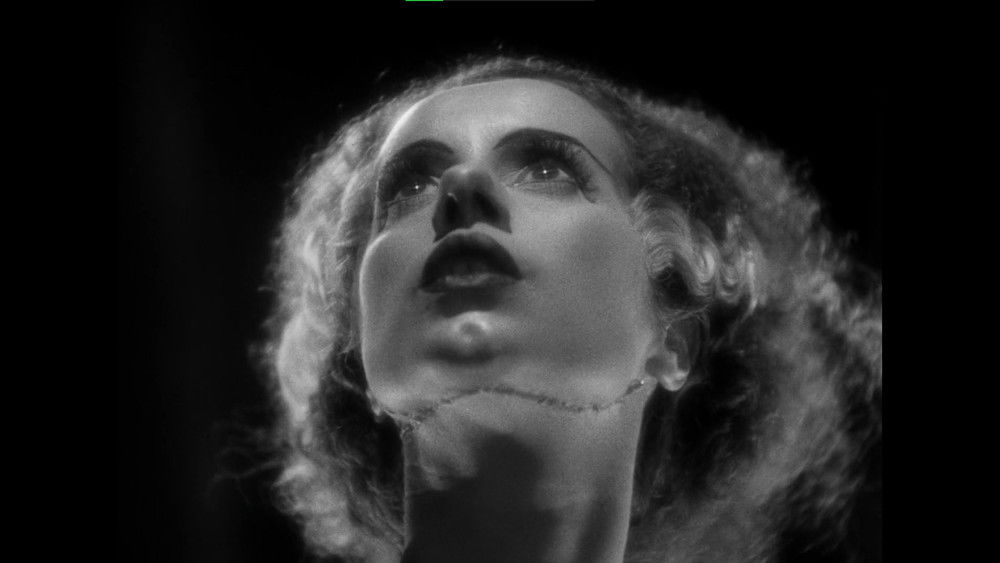 科学怪人的新娘,Bride of Frankenstein(1935电影)