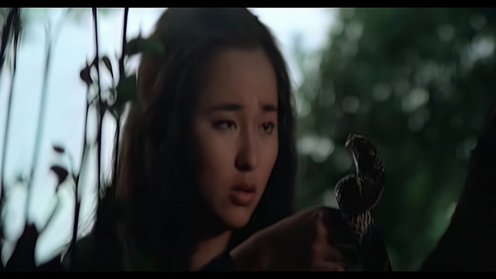 人蛇鼠(1977电影)