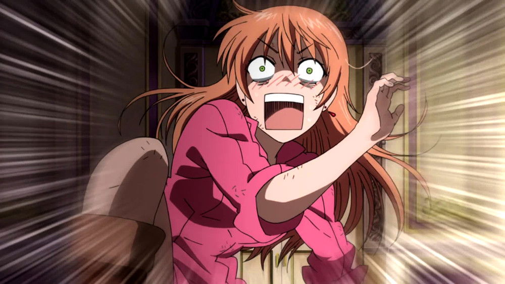 尽管如此世界依然美丽,それでも世界は美しい(2014日本动漫)