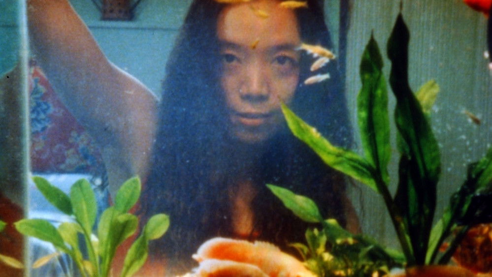 今年夏天(2001电影)