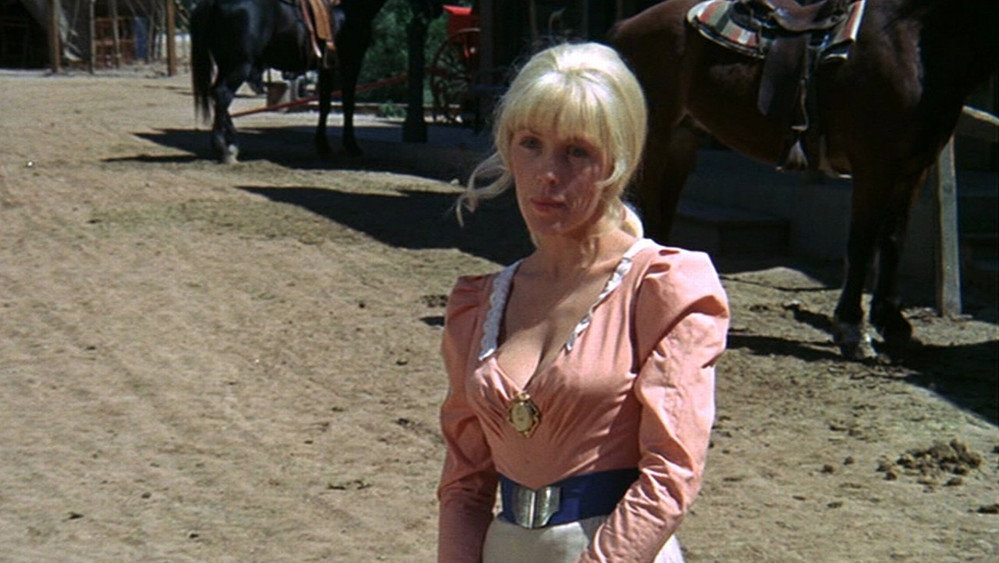 牛郎血泪美人恩,The Ballad of Cable Hogue(1970电影)