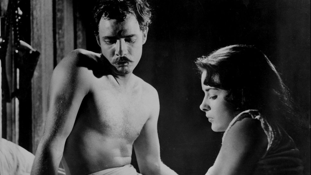 萨帕塔传,Viva Zapata!(1952电影)