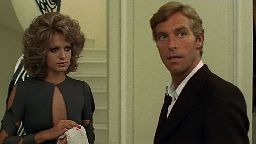 九尾怪猫,Il gatto a nove code(1971电影)