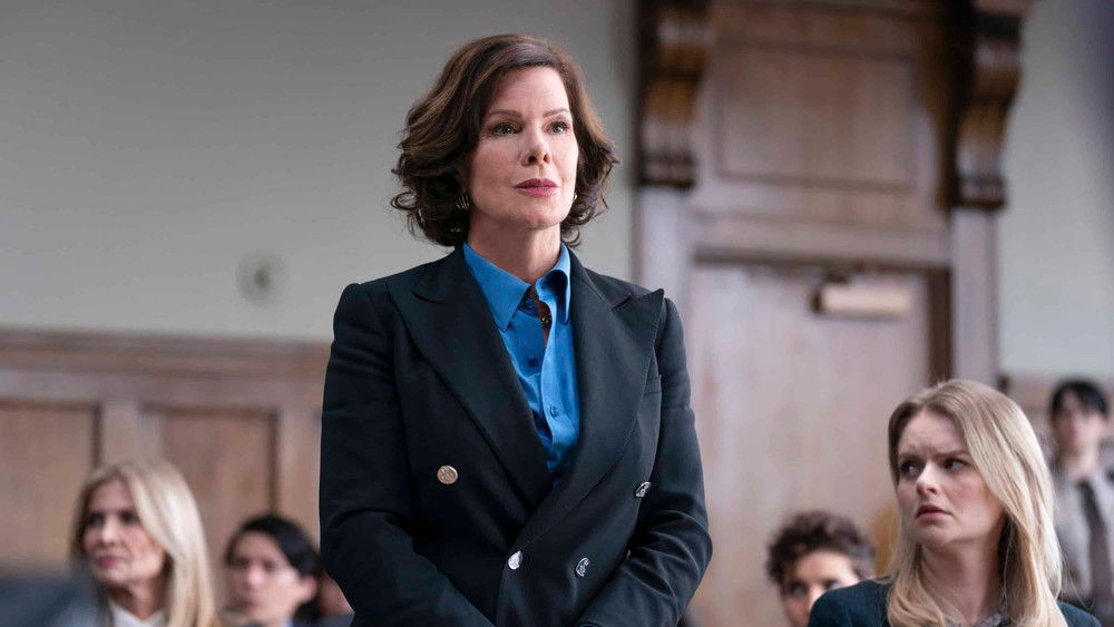 犬子帮帮忙,So Help Me Todd(2022电视剧集)