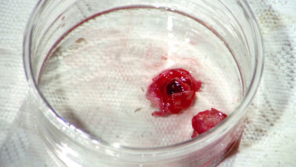 取眼杀人案,Los ojos azules de la muñeca rota(1974电影)