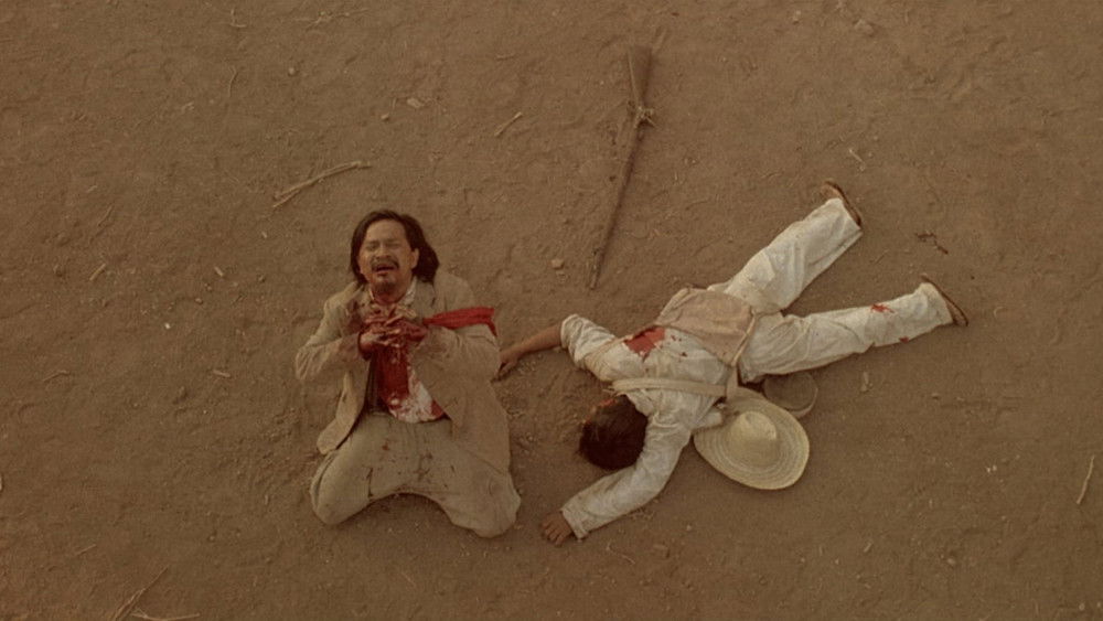 烽火怪杰,Walker(1987电影)